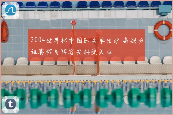 2004世界杯中国队名单出炉 备战分组赛程与阵容安排受关注