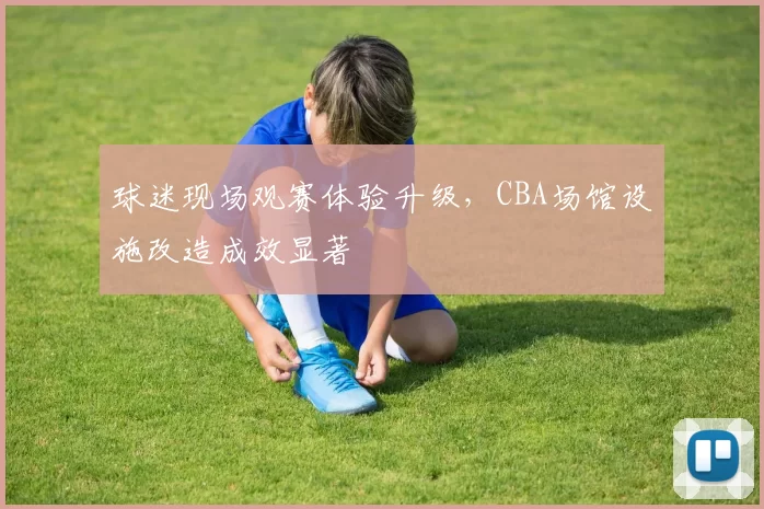 球迷现场观赛体验升级,CBA场馆设施改造成效显著