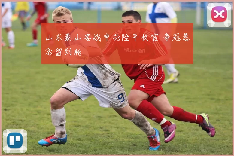 山东泰山客战申花险平收官 争冠悬念留到轮