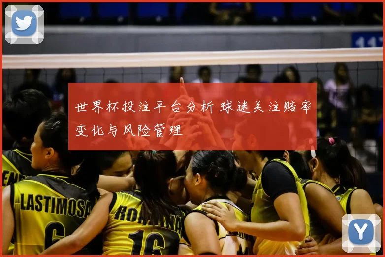 世界杯投注平台分析 球迷关注赔率变化与风险管理