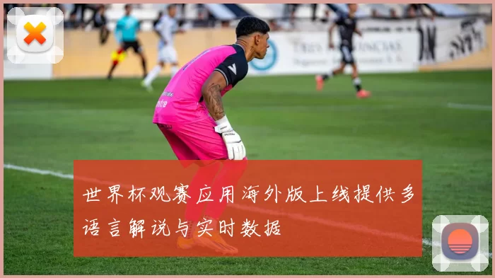 世界杯观赛应用海外版上线提供多语言解说与实时数据