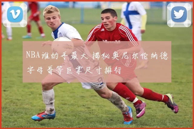 NBA谁的手最大 揭秘奥尼尔伦纳德字母哥等巨掌尺寸排行