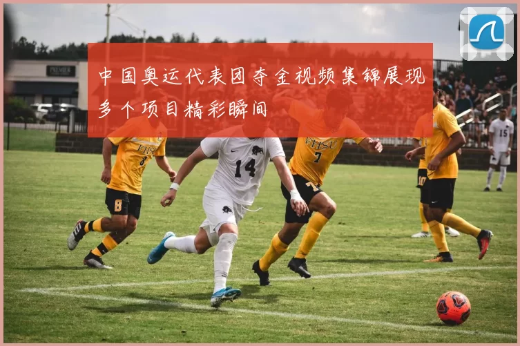 中国奥运代表团夺金视频集锦展现多个项目精彩瞬间